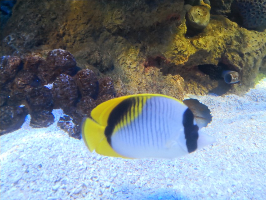 北京工体富国海底世界周一营业,北京工体富国海底世界旅馆