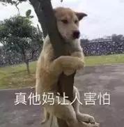 人体科普bbc,bbc人体科学