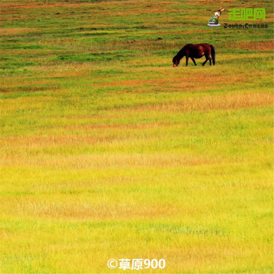 云南自驾5条最佳线路图,云南适合开车自驾的公路