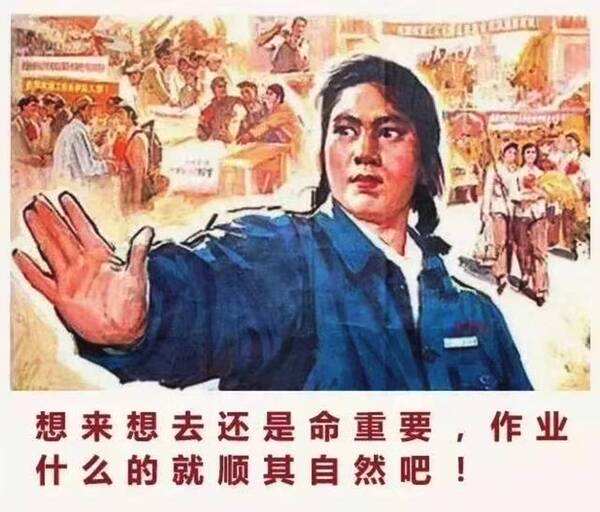 新手养鱼硝化菌,养鱼千万别买的鱼缸