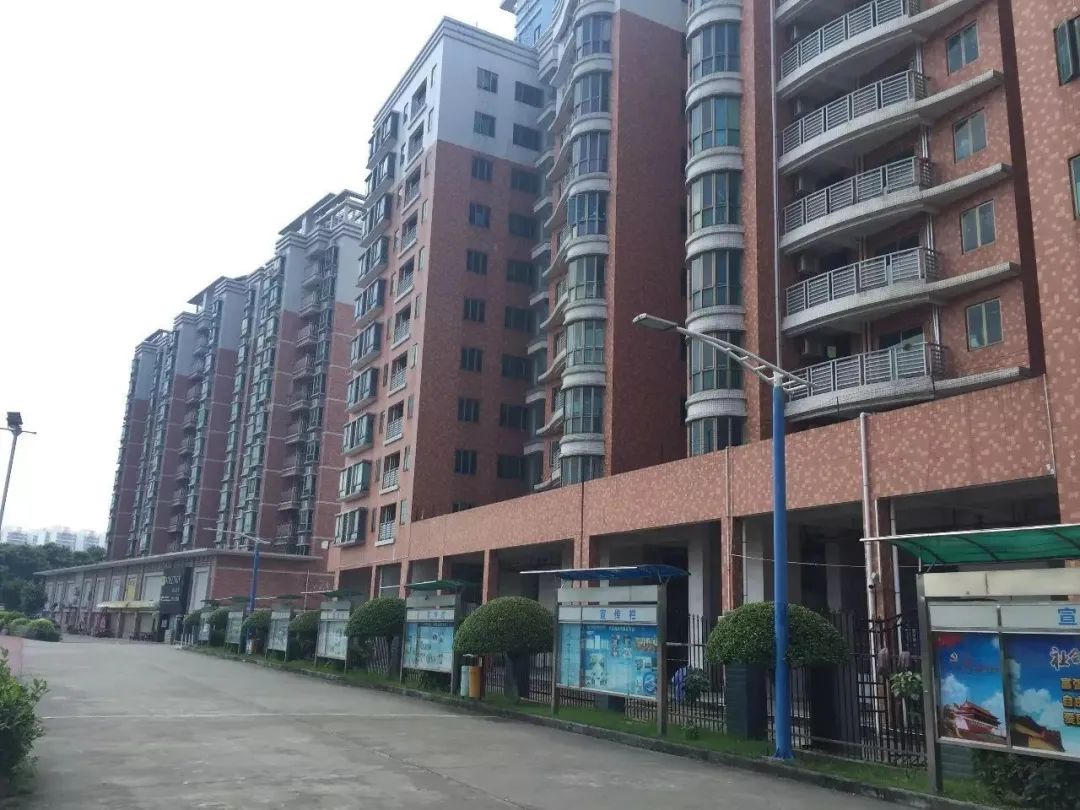 广东科技学院有没有高职专业,广东科技学院高职高考学费