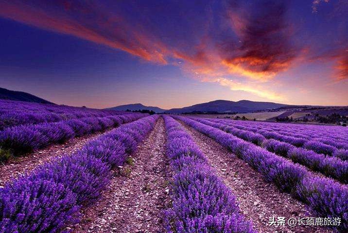 法国自由行攻略,法国攻略