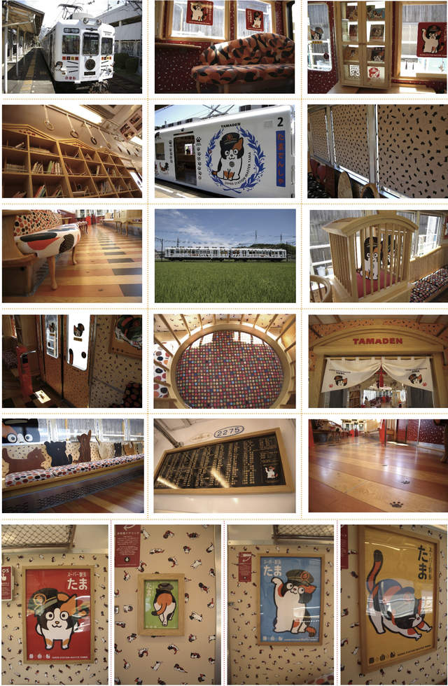 大阪和歌山一日游最佳路线,和歌山日本旅游