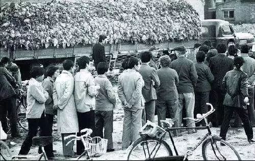 一天能供应武汉2000吨菜!这个地方种菜为什么这么牛?