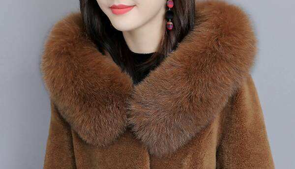 易经中的狐狸——美女神话的兴起