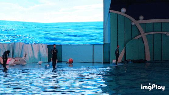 aigoa10s充电宝,aigoa110s自动充电宝