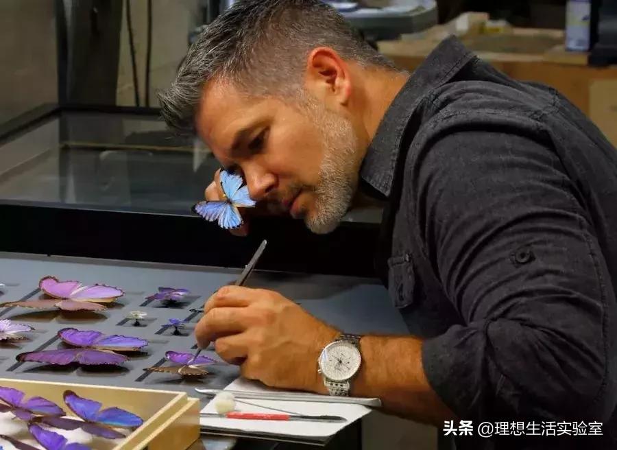 龙湖成都金楠天街,成都龙湖金楠天街哪一期最好