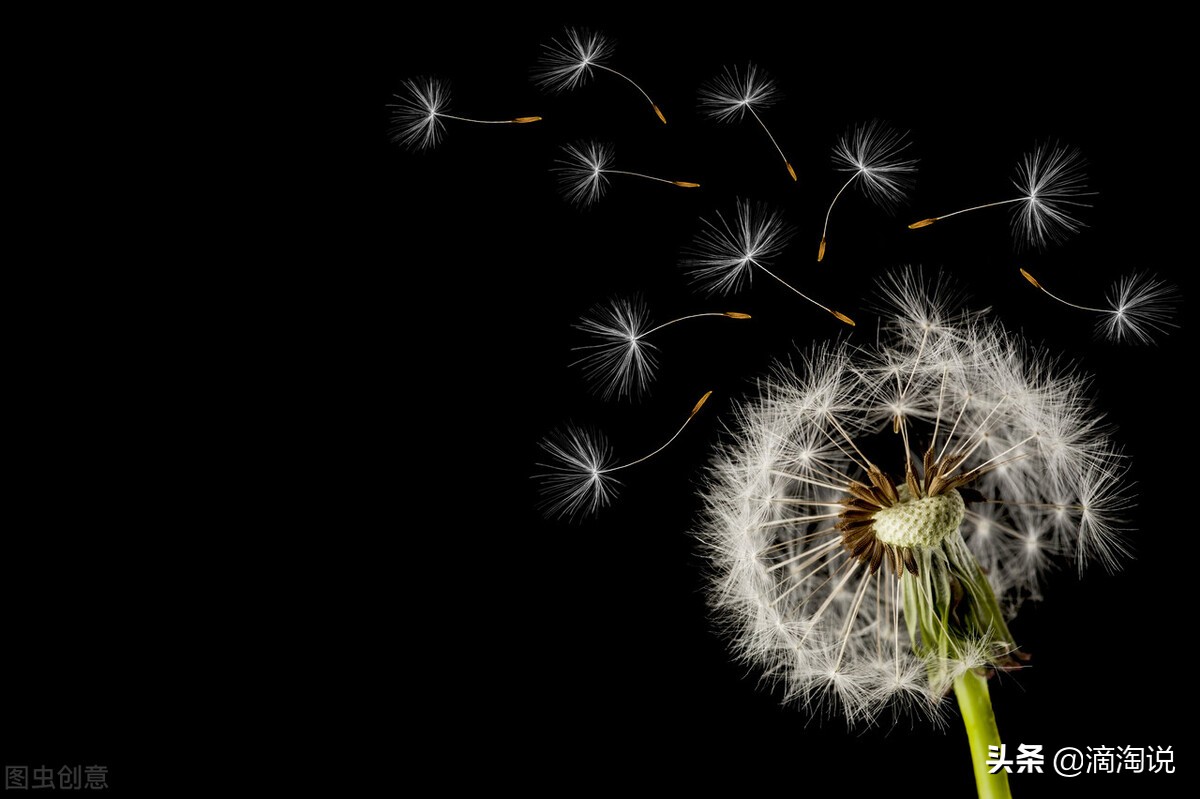 女孩进icu抢救,岳母进医院抢救