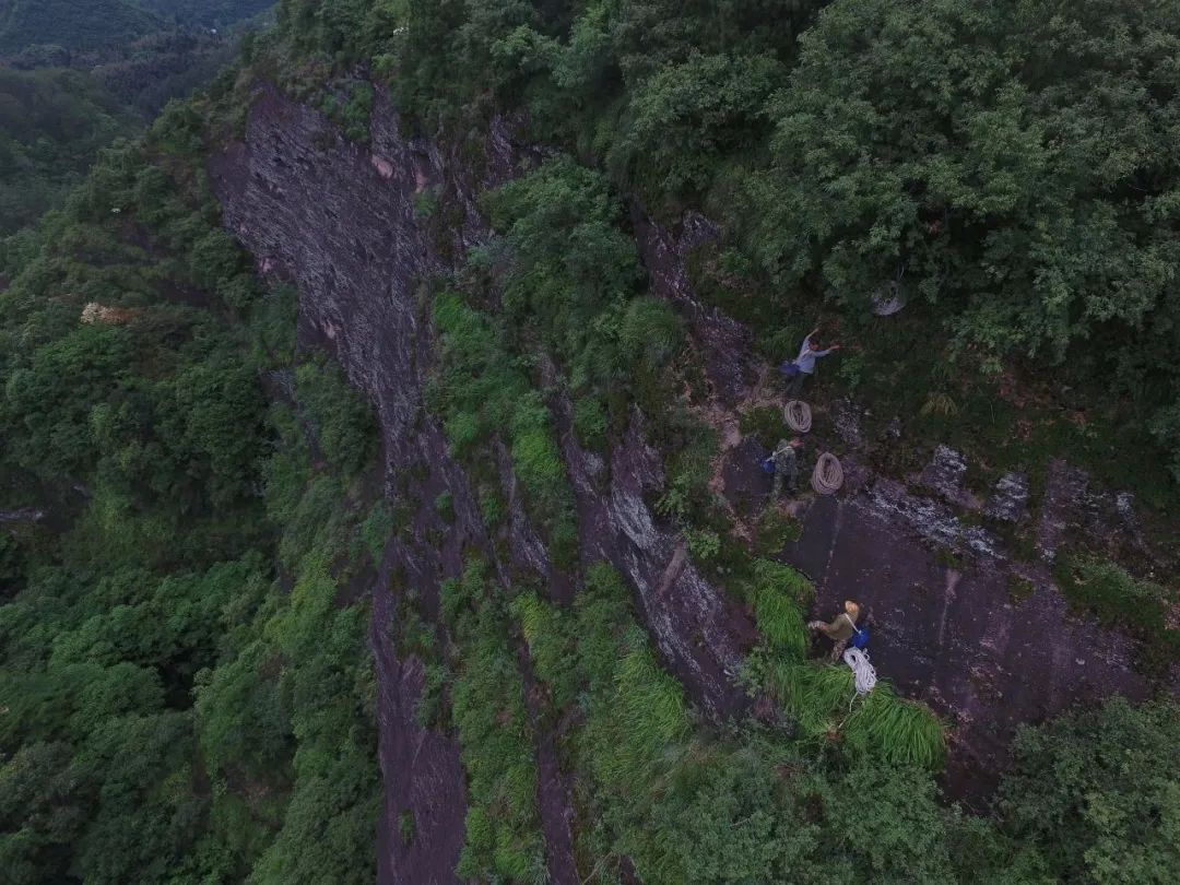 不只是医书带你真正了解本草纲目,盘点不同版本的本草纲目