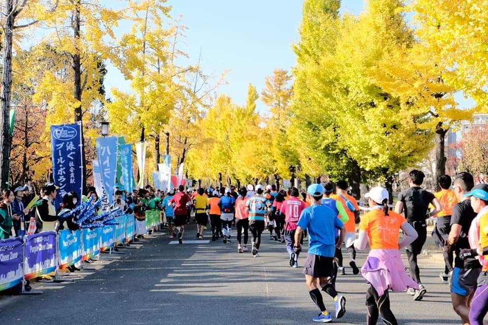 日本大阪马拉松,日本大阪马拉松赛道难度