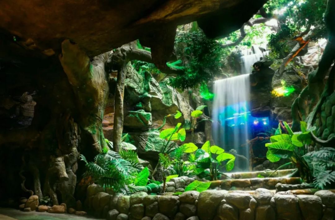 南京海底世界小朋友要票吗,南京海底世界99元一大一小套票