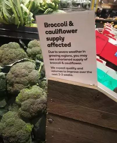 澳洲大龙虾奢华大餐,澳洲大龙虾海鲜大餐