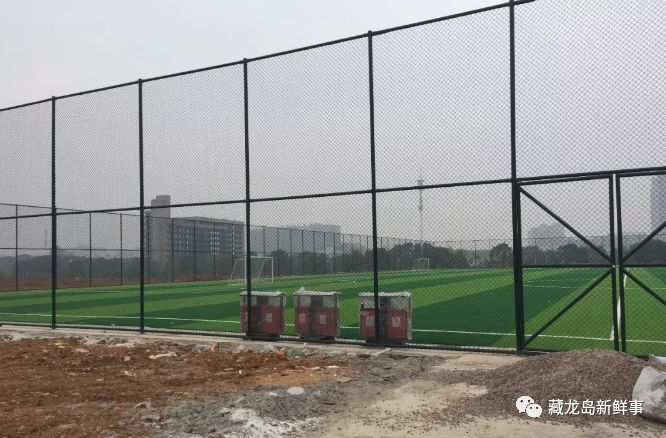 武汉江夏藏龙岛最新消息,藏龙岛管委会体育公园足球场