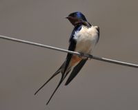 “争”来的一亩地，“让”出的一片天