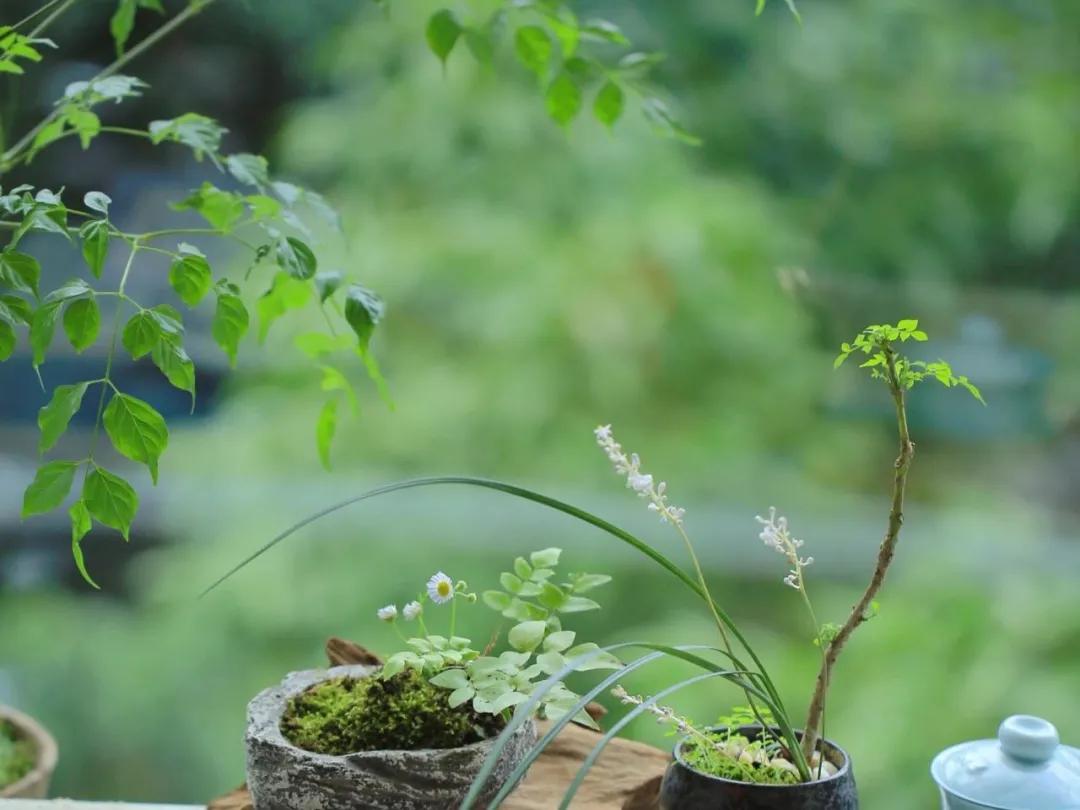 这160句国学经典全都是精华,这20句俗话说尽了人生