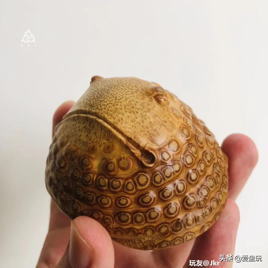 这东西有意思！有人爱到骨子里，有人看都不敢看