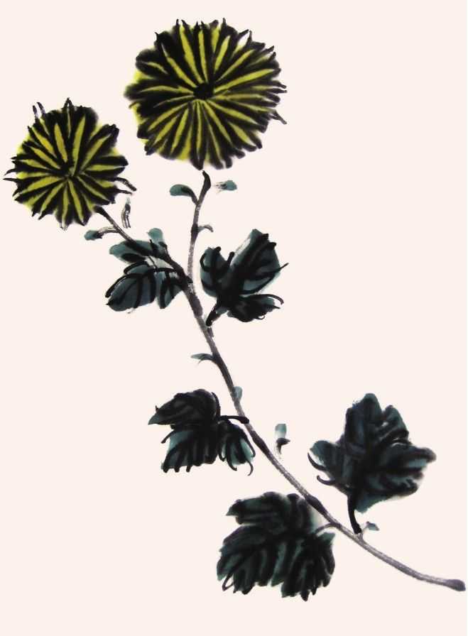 国画菊花的叶子画法步骤入门,梅兰竹菊国画菊花初学者怎么用笔
