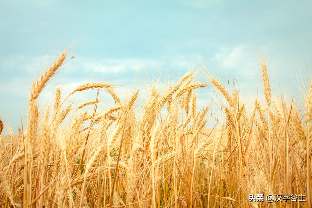 汉字由什么演变而来的,汉字从何演变而来