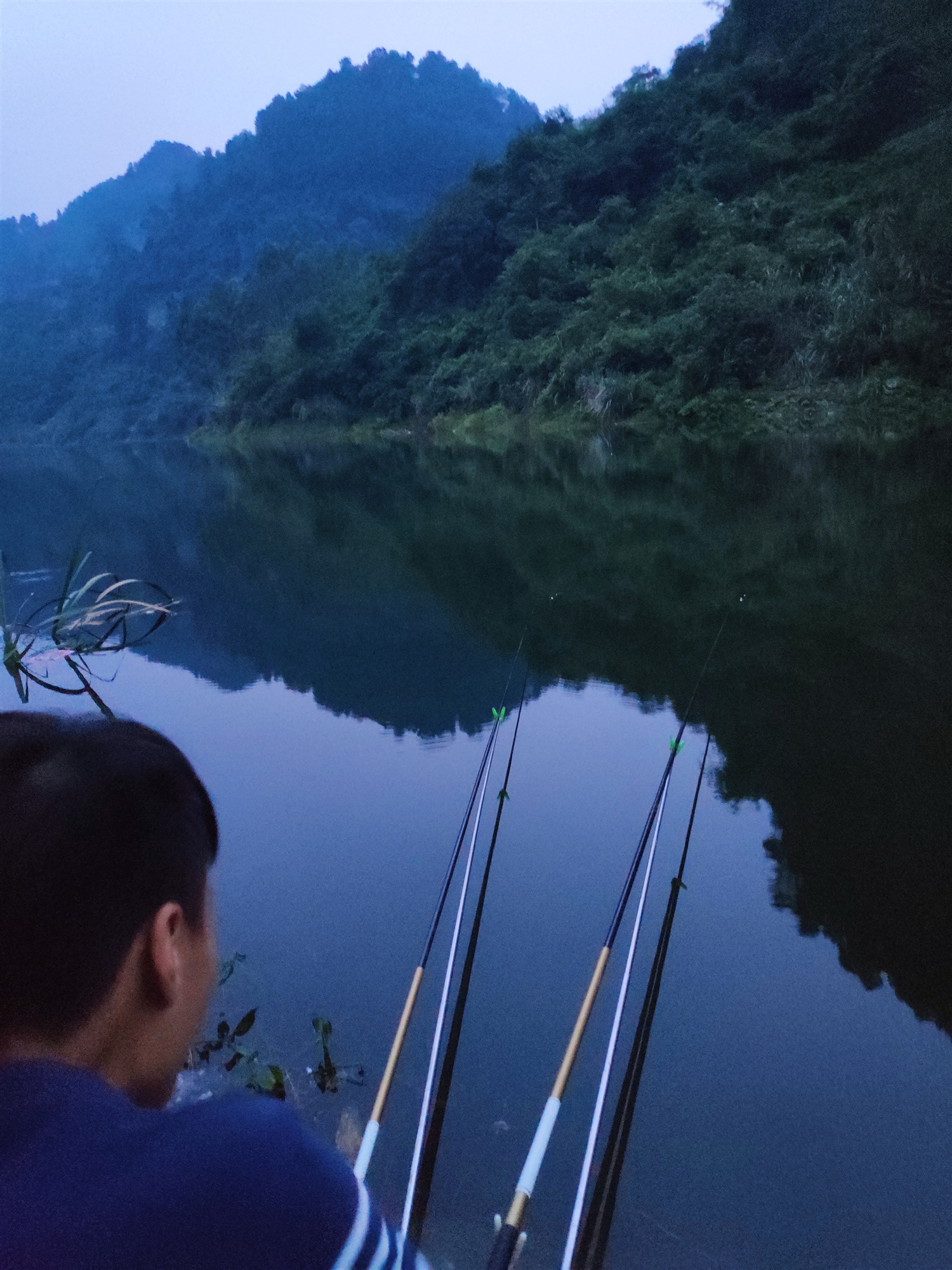 成都周边能钓鲢鳙的钓点有哪些,泗门朗霞附近野钓鲢鳙的地方