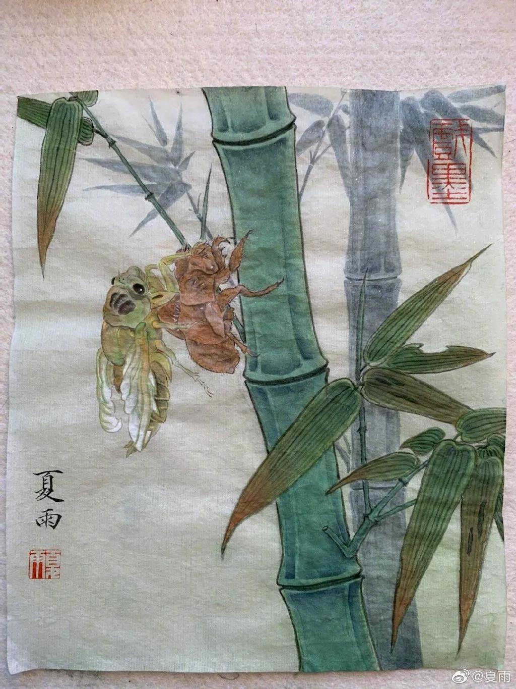 影帝夏雨书法真迹,演员夏雨晒书法作品