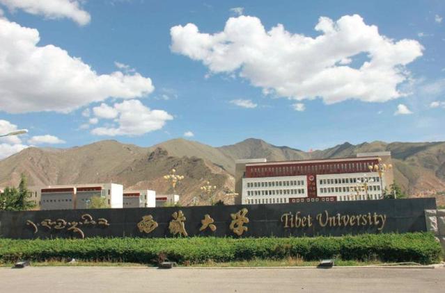 国内最委屈的4所985大学,最委屈的8所985大学