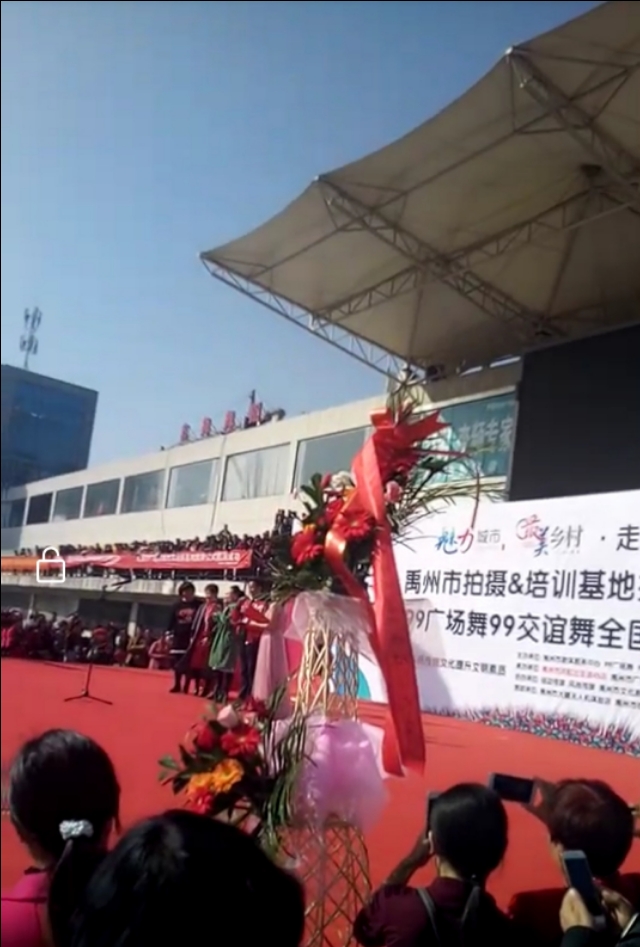 我的偶像——杨艺