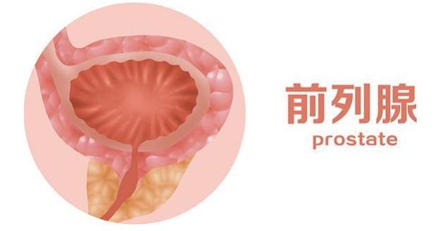 撮谷道正确做法,撮谷道动作