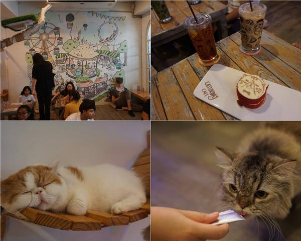 泰国旅游攻略旅行家,去泰国旅行攻略