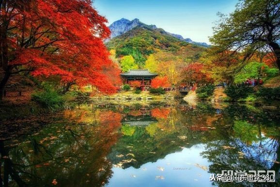 韩国大学学费一览表,韩国大学学费价目表