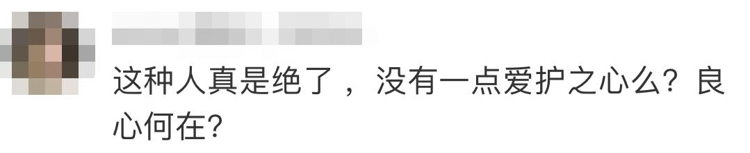 男子当街踢死小猫后续上海,小猫被小男孩虐待暴打