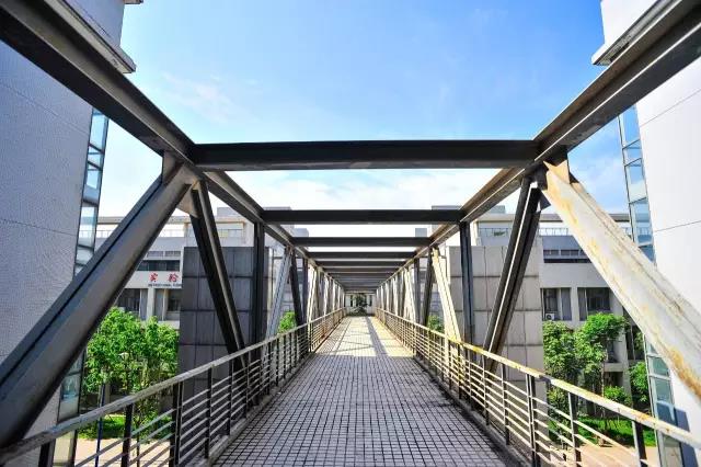 志愿填报英语专业,西安外国语大学征集志愿2023