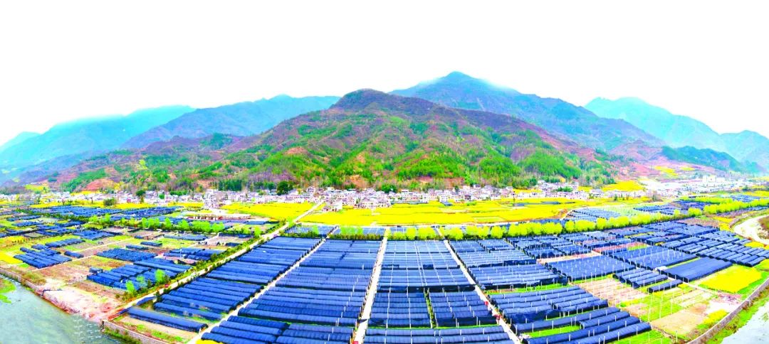 蜀青振兴贷是啥,蜀青振兴贷