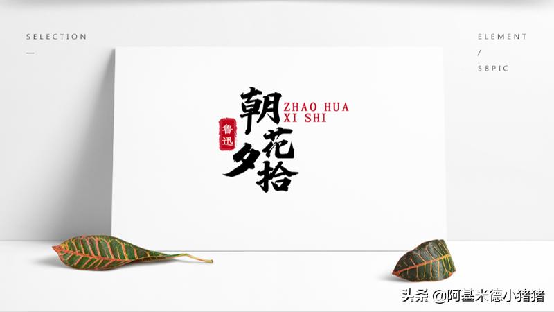 朝花夕拾反映了鲁迅的成长历程,鲁迅的求学之旅朝花夕拾导读课