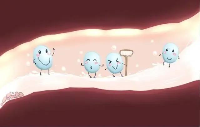 益生菌配合什么吃可以治皮肤病,补充益生菌治疗真菌皮肤病