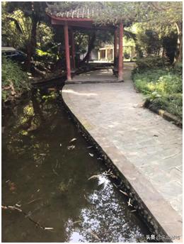 乐山住宅景观,乐山小区景观造雾