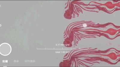 华为手机显微镜放大1000倍清晰,怎样才能把手机变成显微镜模式