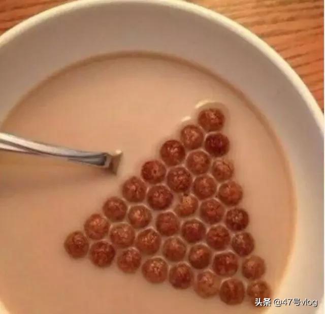 家里两只猫咪可以一起养吗,家里有宝宝适合养什么猫咪