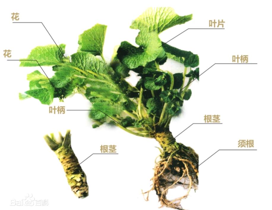 小叨叨推文,小叨叨的作品