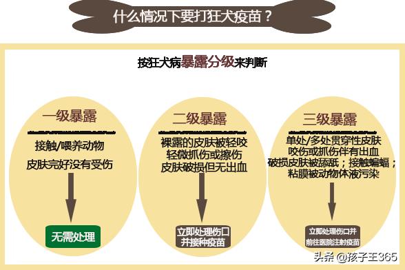 家长没及时处理孩子狂犬病,小男孩得了狂犬病会有什么症状