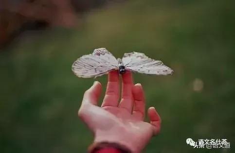 作文造句技巧大全,小学作文如何写好句子