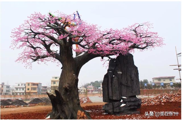 祁阳和常宁哪个发展潜力大,湖南省祁东县经济排名