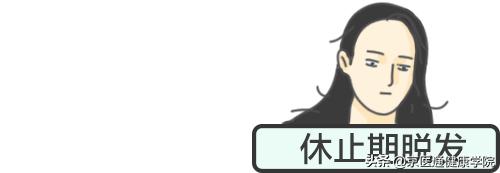 脱发掉发人福音来了,脱发人数2亿