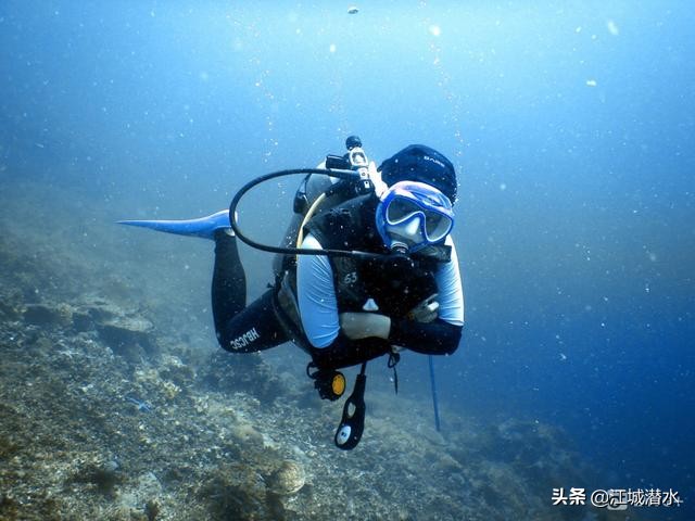 潜水的时候该怎么下潜,潜水是如何做到上浮下潜的