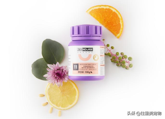 宠物生病用什么药治疗好得快一点,宠物生病后吃什么药好得快些呢