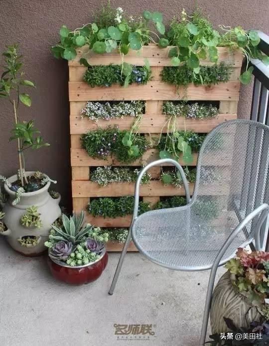 怎么样能纸上种菜,在家种菜可以做什么