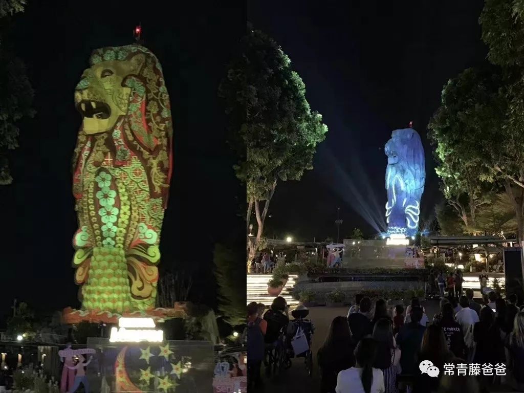 十一新加坡,十一游学新加坡