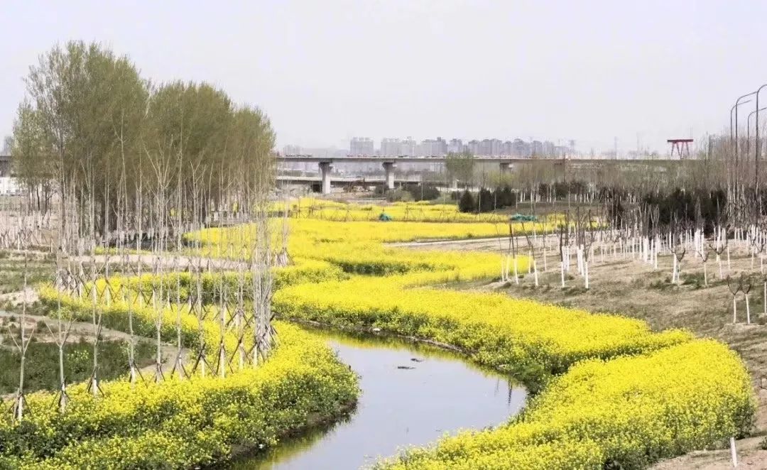 西安西咸新区交大创新港,西安交大创新港三期规划