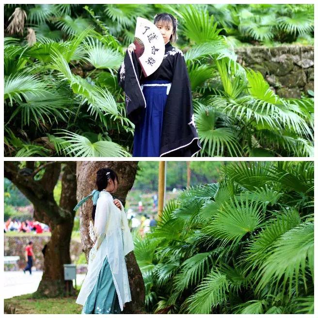 广州自驾团队,广州团队定制旅游