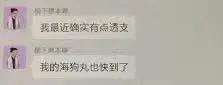 霍尊常吃的海狗丸秘药，到底有没有让他更强？