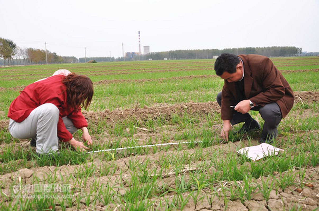 河南农村老伯埋怨自己“话太多，管太宽”害得儿子离了婚，咋回事